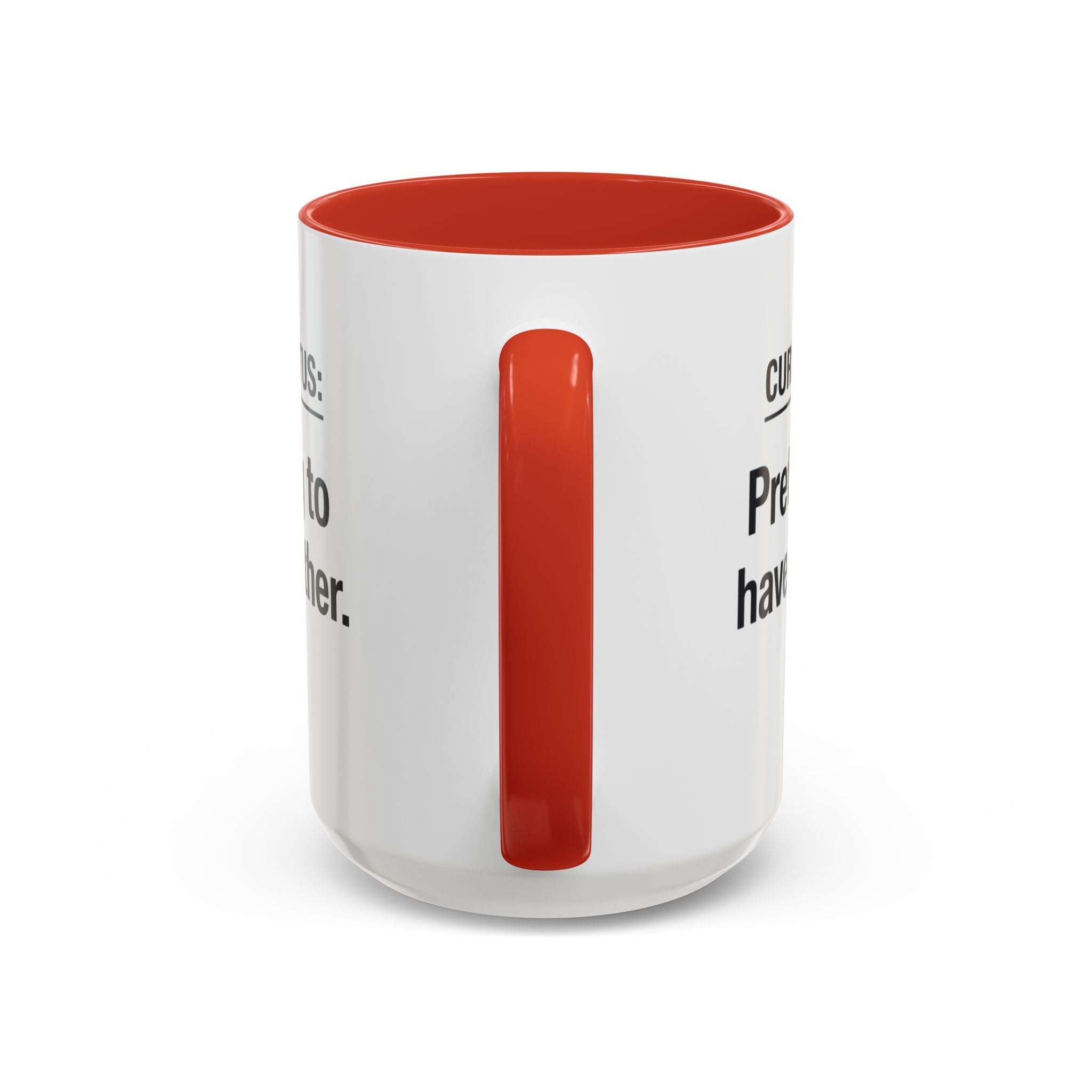 Current Status: Pretending to Have It Together mug | Accent Coffee Mug
