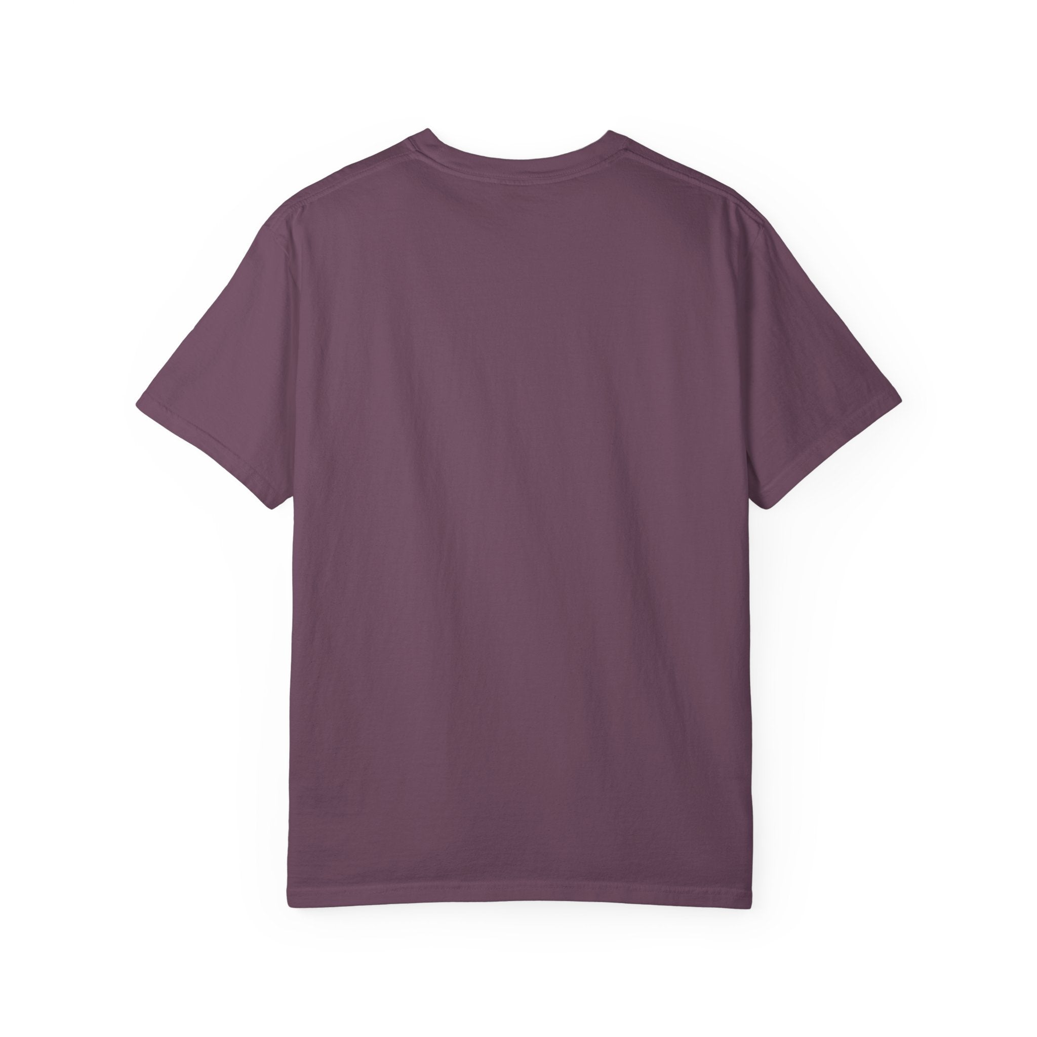Capybara Venice Gondola Sunset T-shirt | Scenic Canal Travel Art