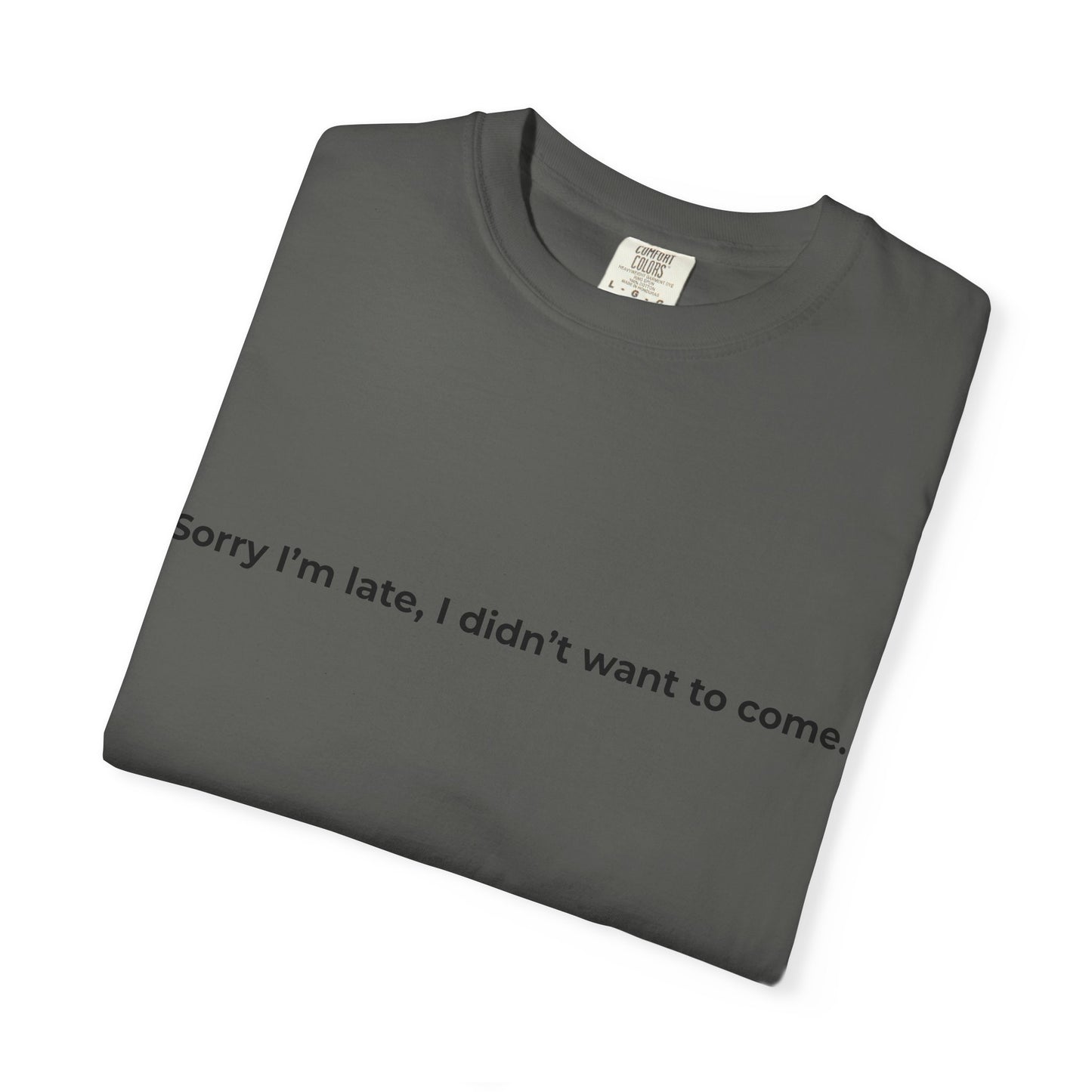 Sorry I'm late I didn't want to come T-shirt | Text Tee, Minimalist Sarcastic Shirt